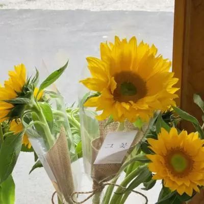 前车爆胎人未撤离 后车智驾追尾致2死