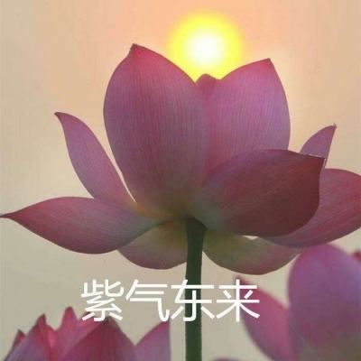 坦克突袭福利版下载